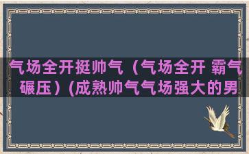 气场全开挺帅气（气场全开 霸气 碾压）(成熟帅气气场强大的男人)